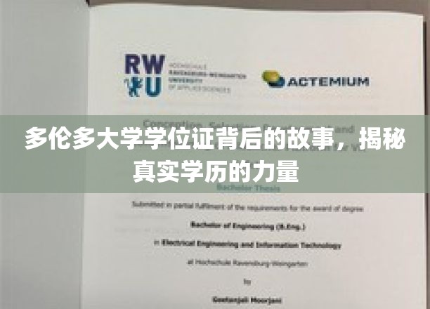 多伦多学历之谜，学位证书背后的深刻启示