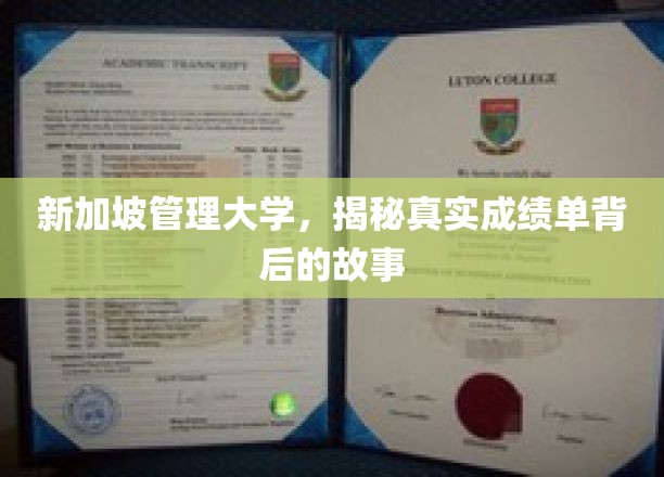 揭开新加坡管理大学成绩单背后的神秘面纱
