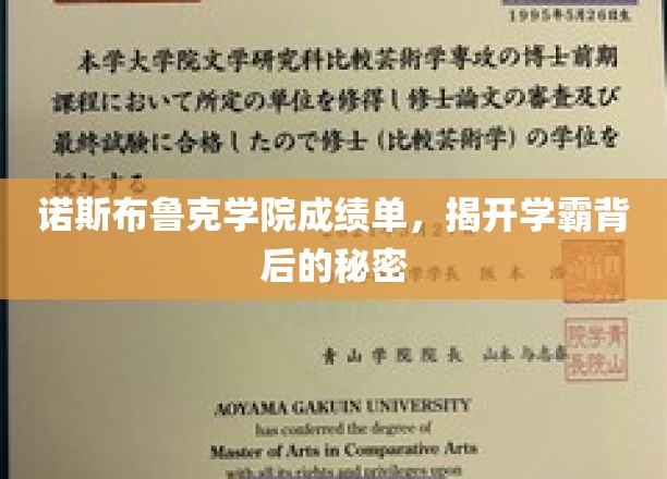 诺斯布鲁克学院成绩单，揭开学霸背后的秘密