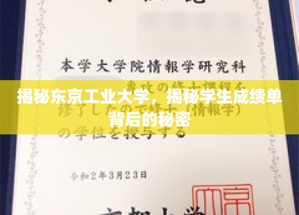 揭秘东京工业大学，揭示学生成绩单背后的秘密