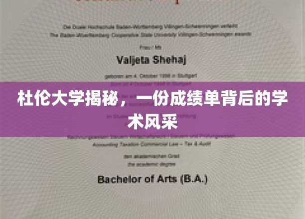 杜伦学府探秘，成绩单背后展现的学术魅力与风采