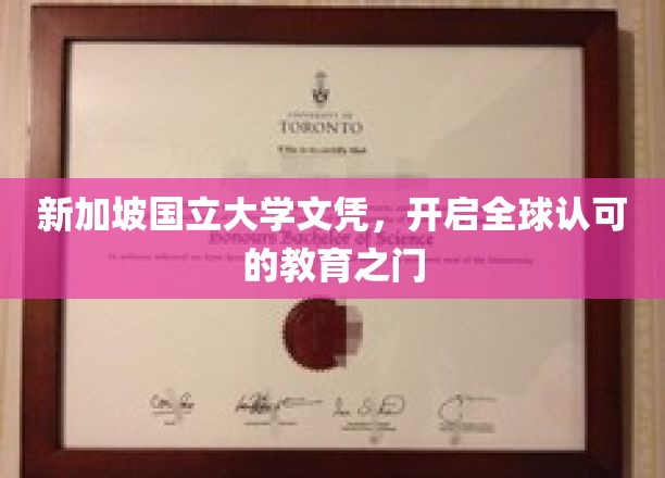 新加坡国立大学学位，跨国界通行的高端教育通行证