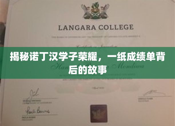诺丁汉英才榜，揭秘成绩单背后的青春传奇