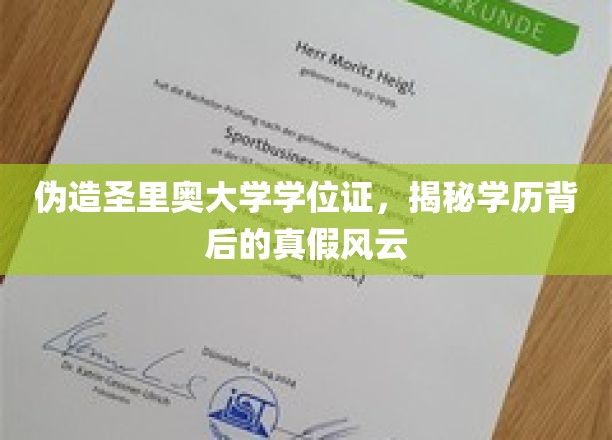 学历迷局，揭开伪造圣里奥大学学位证的神秘面纱
