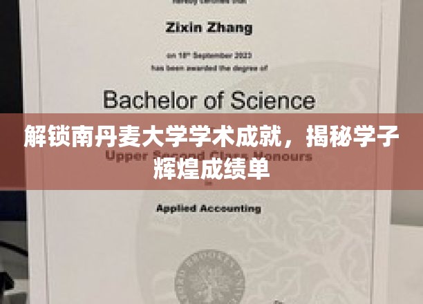 探索南丹麦大学学术巅峰，学子成绩单背后的耀眼故事