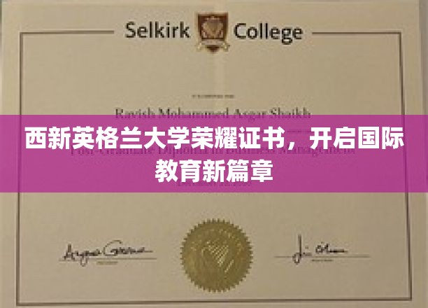 西新英格兰大学荣耀证书引领全球教育新纪元