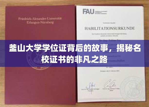 揭秘釜山大学学位证背后的故事：名校证书非凡之路