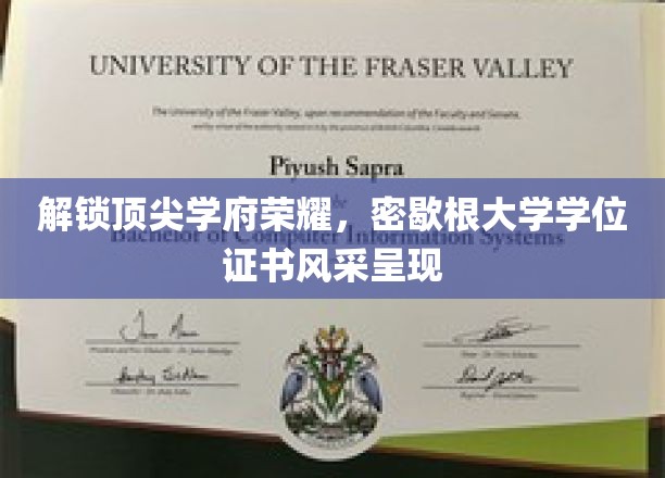 密歇根大学学位证书，探寻顶尖学府的荣耀印记