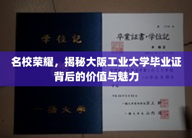 解码名校荣光，大阪工业大学毕业证的价值与非凡魅力