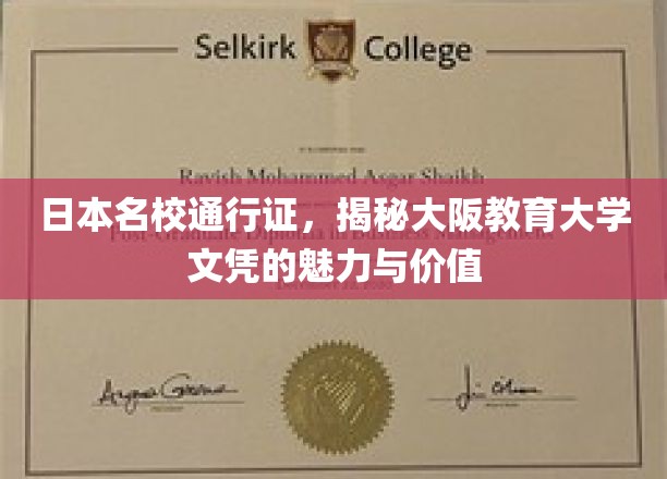 大阪教育大学文凭，日本名校通行证背后的独特魅力
