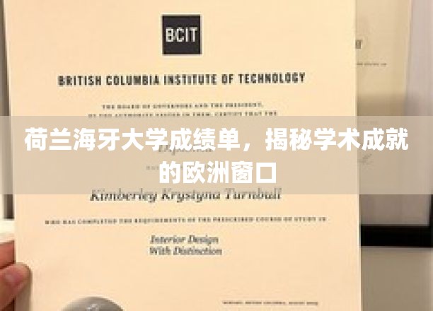 荷兰海牙大学成绩单，开启探索学术成就的欧洲之窗