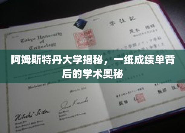 探秘阿姆斯特丹大学，一纸成绩单揭示的学术秘密面纱