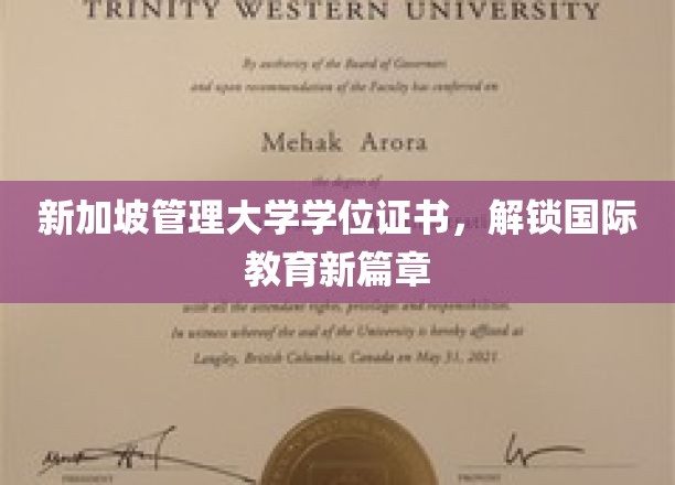 新加坡管理大学证书，引领全球教育新潮流