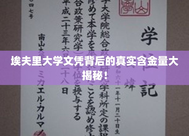 揭开埃夫里大学文凭的神秘面纱，真实含金量大揭秘！