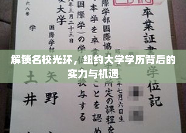 名校荣耀揭秘，NYU学历背后的不凡力量与无限可能