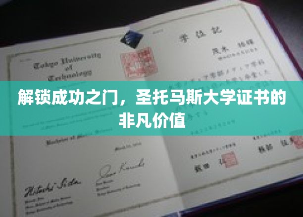 解锁成功之门，圣托马斯大学证书的非凡价值