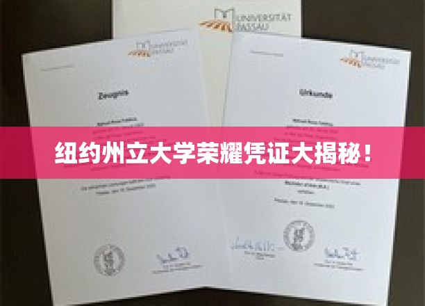 解锁纽约州立大学荣誉证书背后的传奇故事