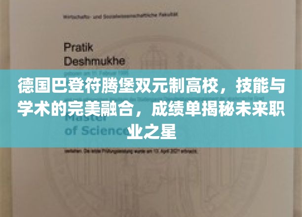 德国巴登-符腾堡双元制高校，技能与学术的完美融合，成绩单揭秘未来职业之星
