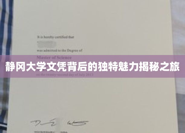 探寻静冈大学文凭背后的神秘光环，一场独特魅力的深度之旅