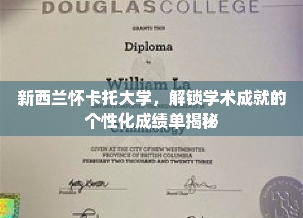 新西兰怀卡托大学，解锁学术成就的个性化成绩单揭秘