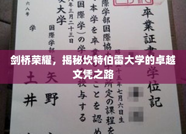 探寻坎特伯雷，揭秘剑桥旗下名校的精英培养秘境