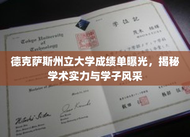 德州大学成绩单亮相，一窥学术辉煌与学子风采