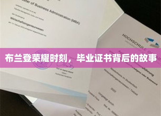 布兰登荣耀之路，毕业证书背后的奋斗传奇