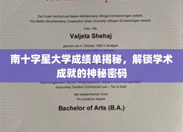 解码南十字星大学成绩单，探寻学术卓越的神秘钥匙