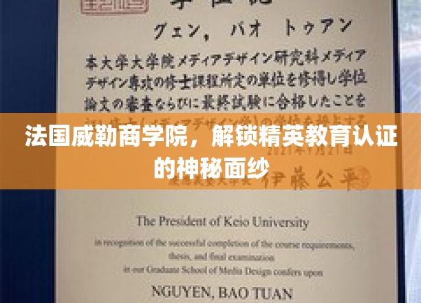 法国威勒商学院，揭开精英教育认证的神秘面纱