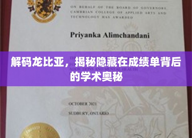 解码龙比亚，揭秘成绩单背后的学术奥秘
