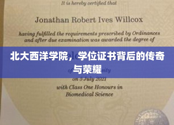 北大西洋学院，学位证书映照下的辉煌历程与荣耀传承