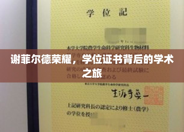 谢菲尔德荣耀，探寻学位证书背后的学术传奇
