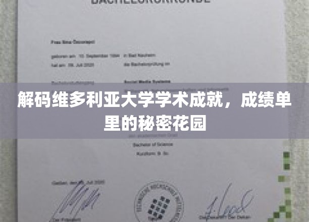 探索维多利亚大学卓越背后的学术秘境