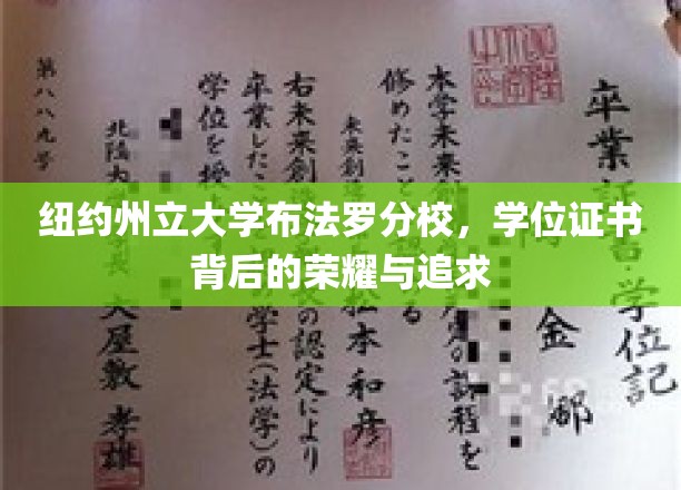 纽约州立大学布法罗分校，学位证书背后的荣耀与追求