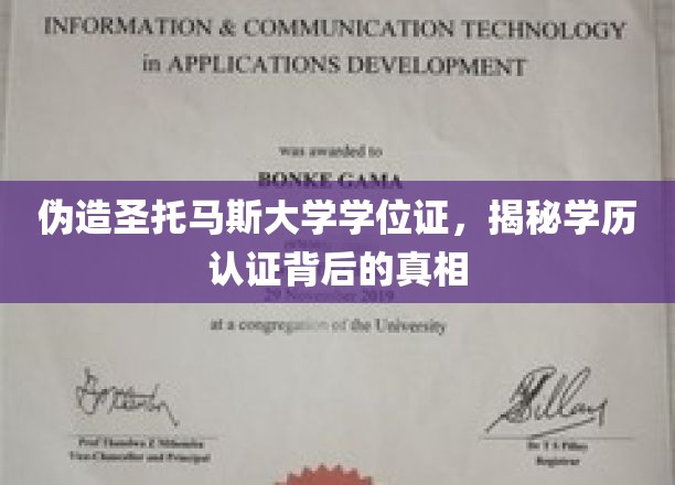 伪造圣托马斯大学学位证，揭秘学历认证背后的真相