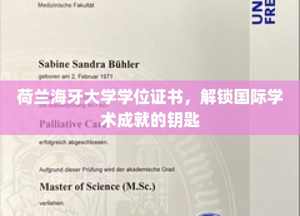 荷兰海牙大学学位证书，开启国际学术成就之门的钥匙