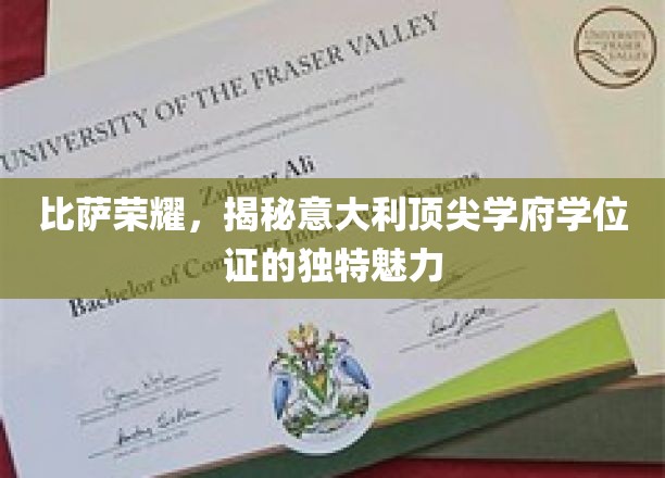 意大利学位证的比萨传奇，探寻顶尖学府的荣耀印记