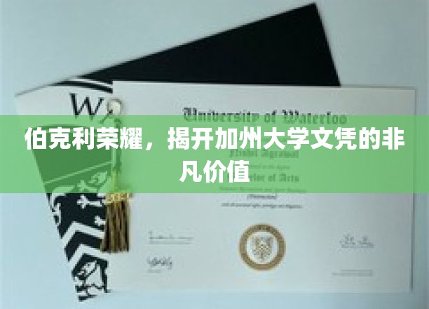 伯克利荣耀，揭开加州大学文凭的非凡价值