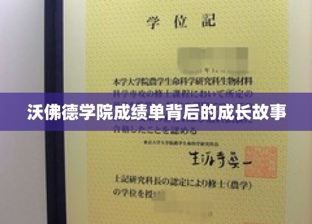 沃佛德学院成绩单背后的成长故事