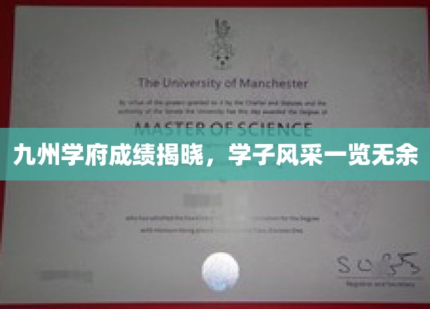 九州才子荣耀榜，学府成绩大放异彩
