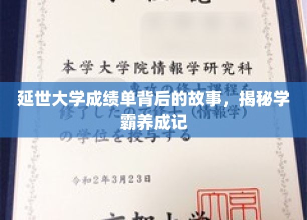 学霸养成记，延世大学成绩单背后的传奇历程