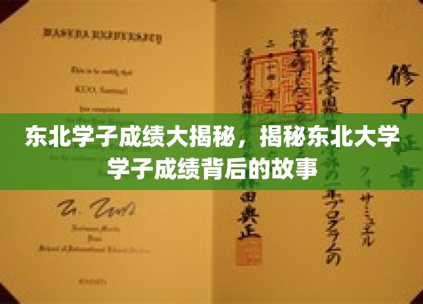 东北学霸养成记，揭秘东北大学学子卓越成绩背后的秘密