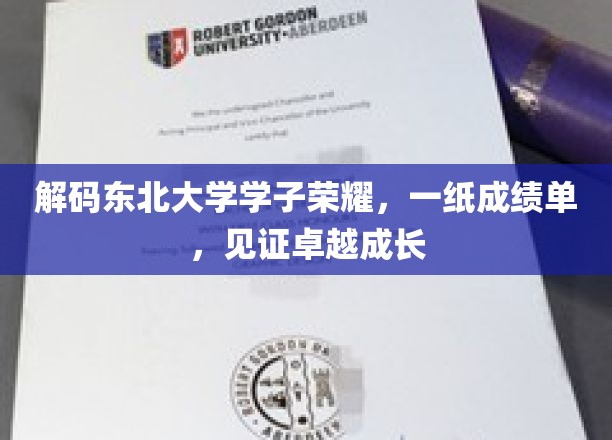 解码东北大学学子荣耀,一纸成绩单,见证卓越成长