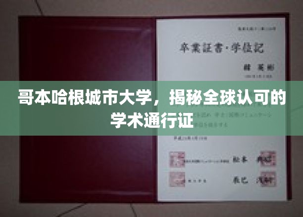 哥本哈根城市大学，揭秘全球认可的学术通行证