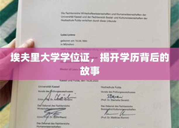 埃夫里大学学位证之谜，揭秘学历背后的传奇故事