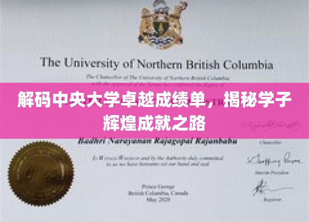 中央大学骄人成绩背后，探秘学子非凡成长轨迹
