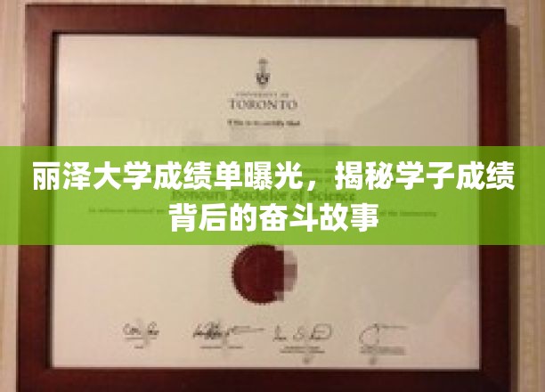 丽泽大学成绩单曝光，探寻学子成绩背后的奋斗历程