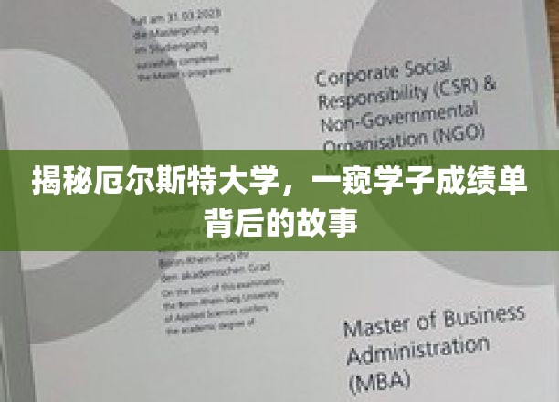探秘厄尔斯特大学，揭秘学子成绩单背后的精彩人生轨迹