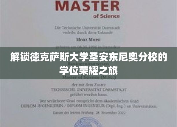 探寻德克萨斯大学圣安东尼奥分校的荣耀学位之路