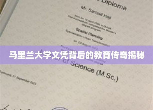 马里兰大学学位背后的非凡教育旅程大揭秘